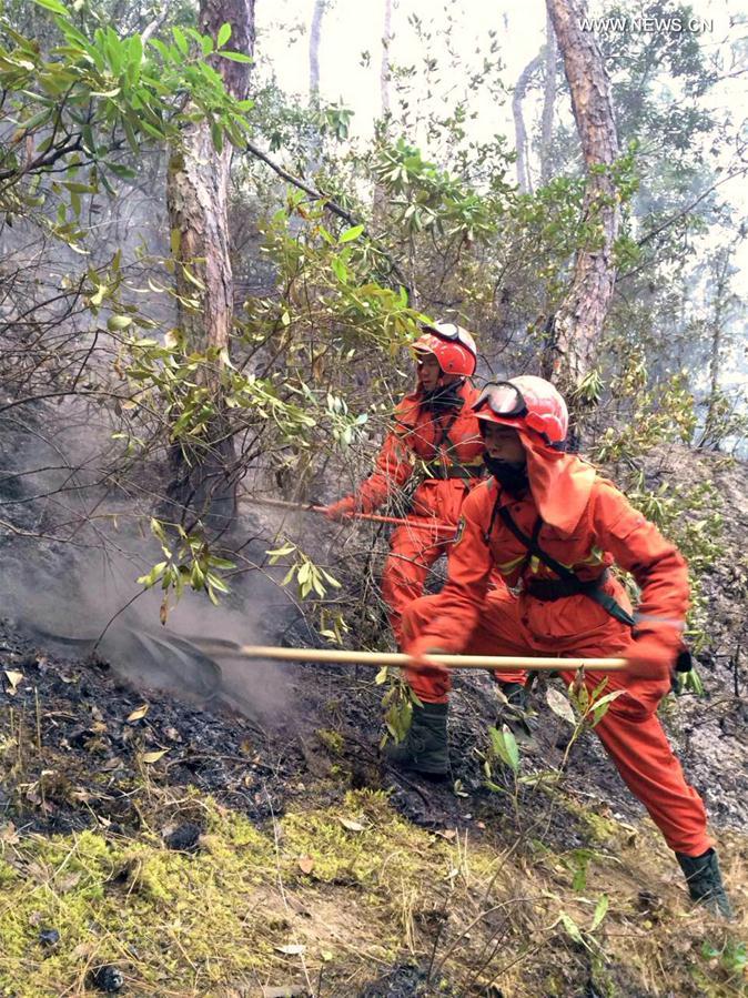 （突发事件）（2）云南香格里拉发生森林火灾 扑救人员1死6伤 明火已扑灭　 