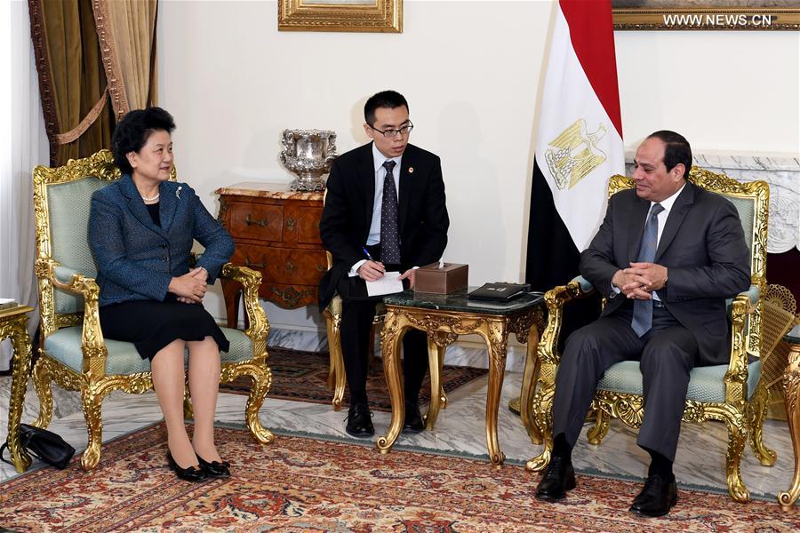 （XHDW）（1）刘延东对埃及进行正式访问
