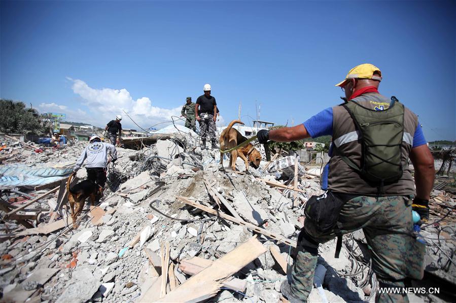 （国际）（4）厄瓜多尔强震死亡人数升至480人