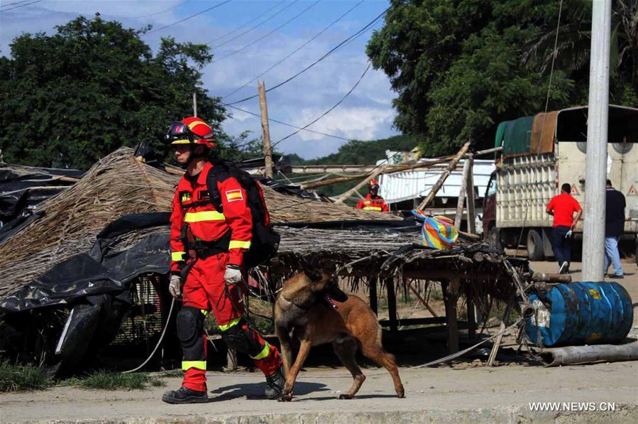 （国际）（10）厄瓜多尔强震死亡人数升至480人