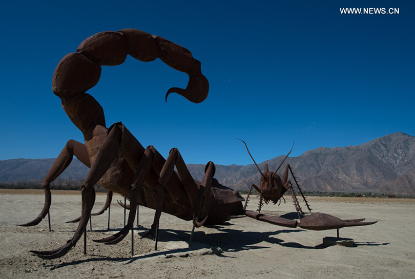 تحقيق إخباري: عقرب خطير يثير القلق والخوف شرقي العراق