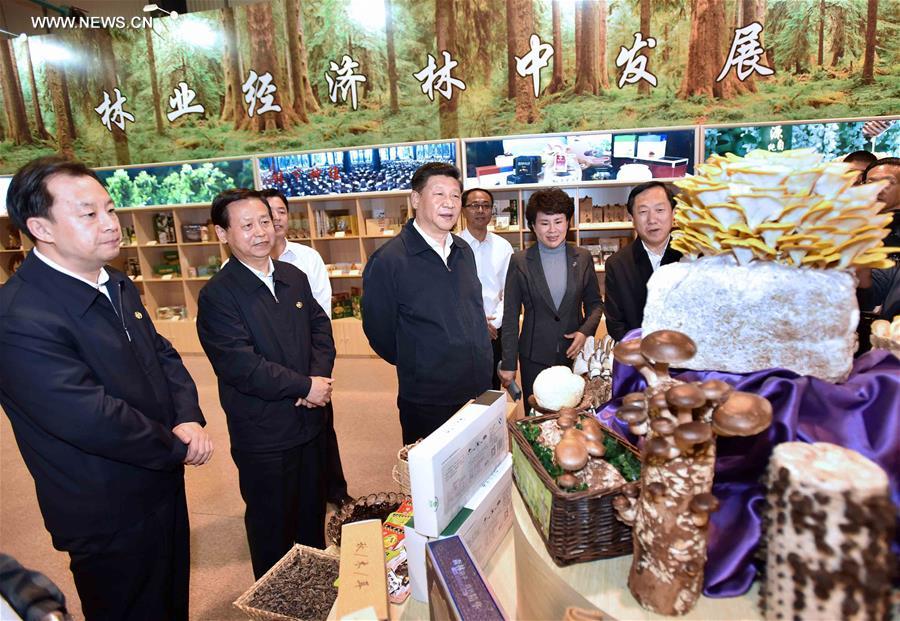 （时政）（3）习近平在黑龙江考察