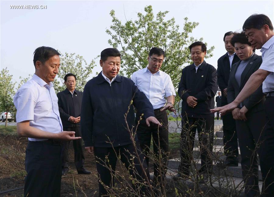 （时政）（5）习近平在黑龙江考察