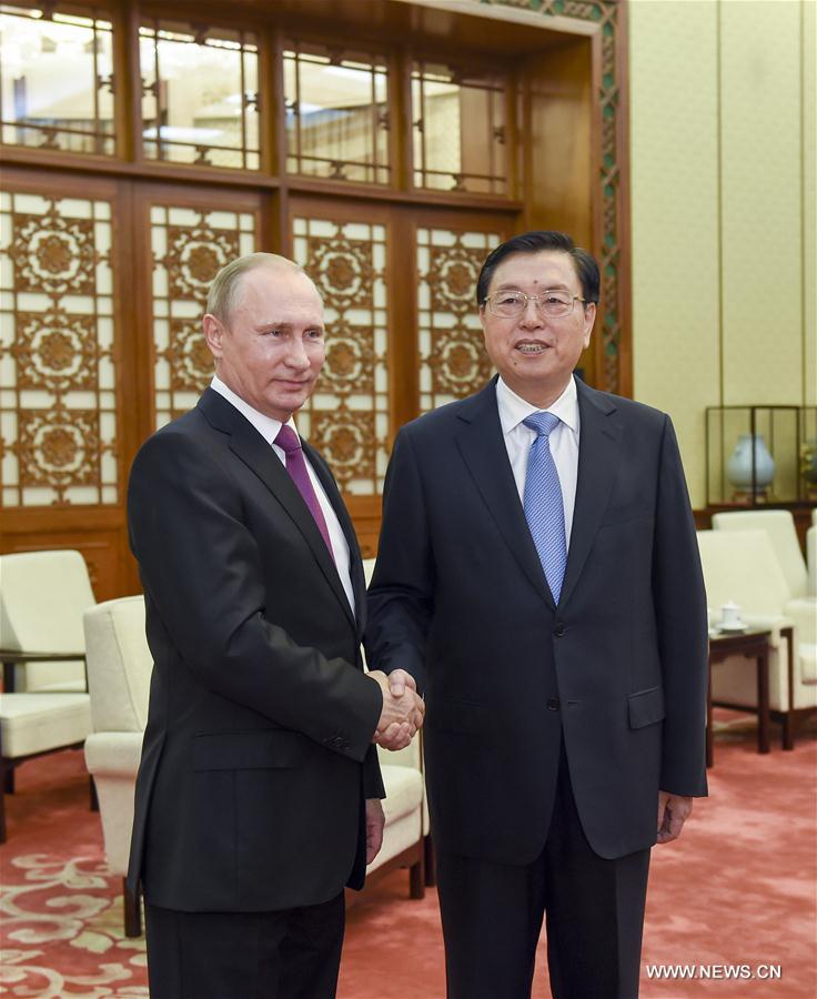 （时政）张德江会见俄罗斯总统普京