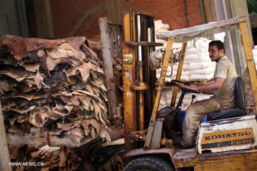 الصورة: نقل المدابغ من قلب القاهرة إلى أطرافها "عملية حضارية وتنموية" 