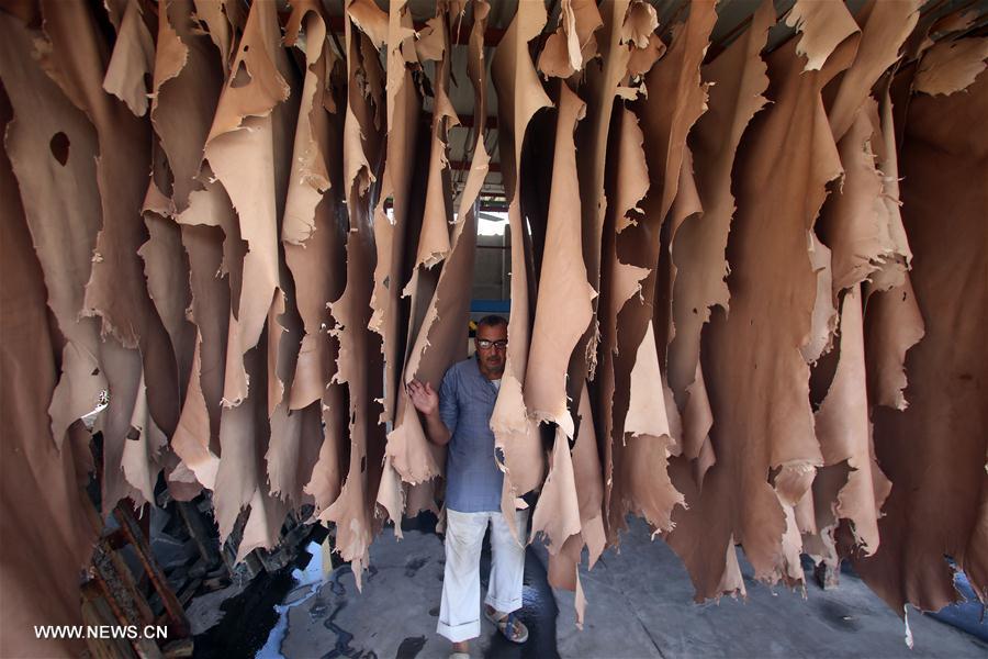 الصورة: نقل المدابغ من قلب القاهرة إلى أطرافها "عملية حضارية وتنموية"