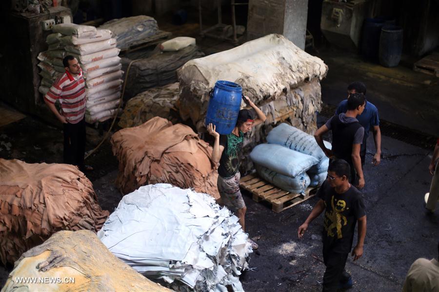 الصورة: نقل المدابغ من قلب القاهرة إلى أطرافها "عملية حضارية وتنموية"