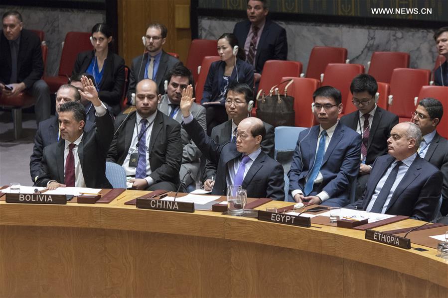 （国际）（2）安理会未通过有关叙利亚化学武器问题决议草案