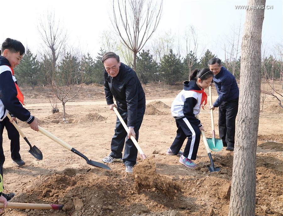 （XHDW）（8）党和国家领导人参加首都义务植树活动