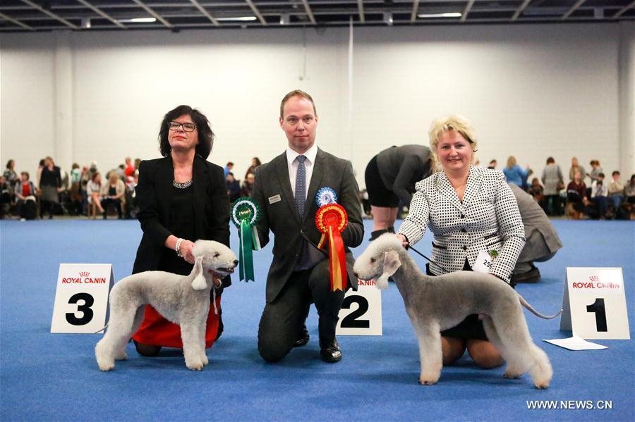  الصورة: مسابقة الكلاب الأليفة في هلسنكي الفنلندية