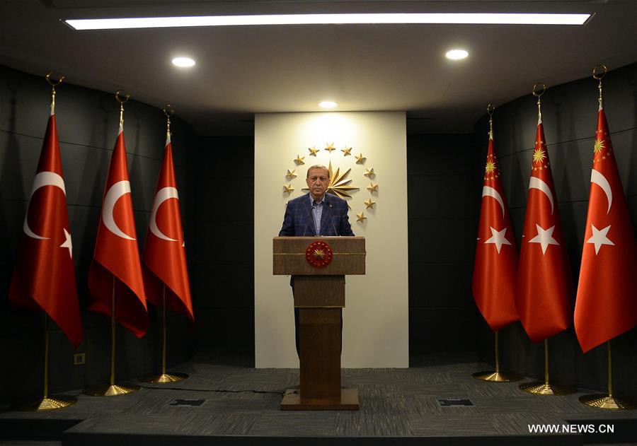 （国际）（3）土耳其总统宣布土耳其修宪草案在全民公投中获得通过