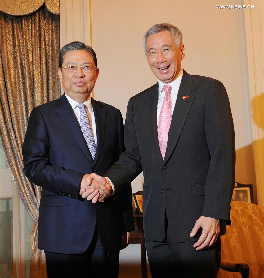 （XHDW）新加坡总理李显龙会见赵乐际