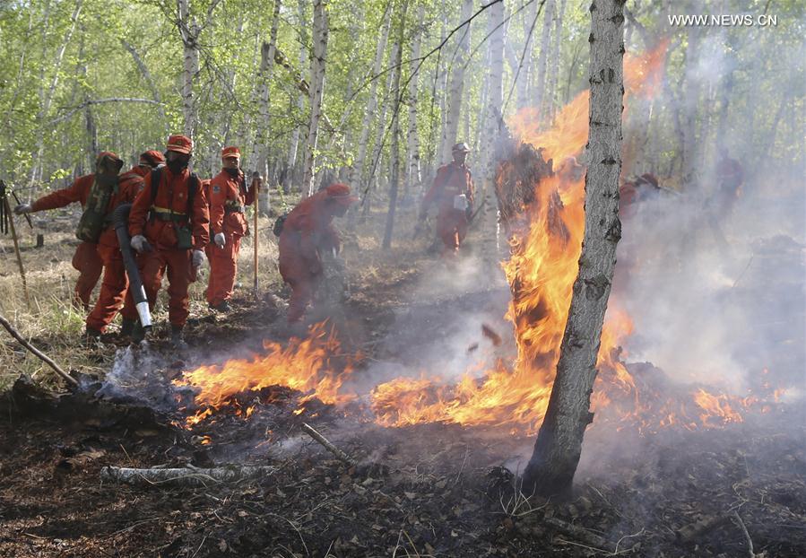 الصورة: السيطرة على حريق الغابات بشمالي الصين