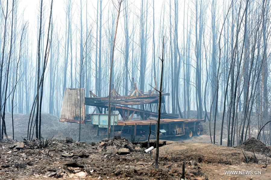 （国际）（17）葡森林火灾死亡人数升至64人 