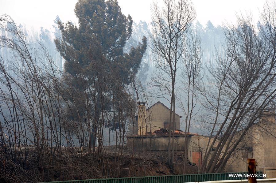（国际）（16）葡森林火灾死亡人数升至64人 