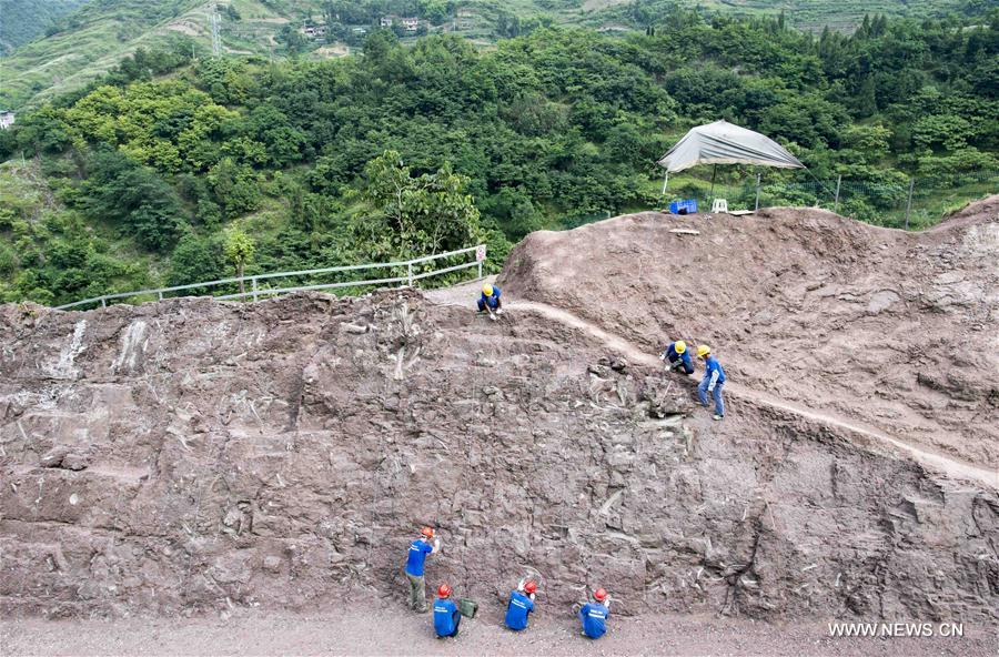 （新华视界）（1）重庆云阳发现世界级恐龙化石群