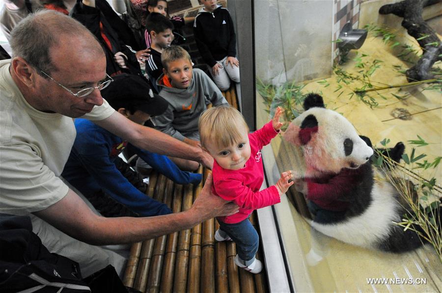الصورة : العب مع الباندا من خلال تقنية الواقع الافتراضي