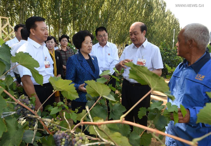 （时政）孙春兰率中央代表团三分团赴内蒙古乌海、阿拉善看望各族干部群众