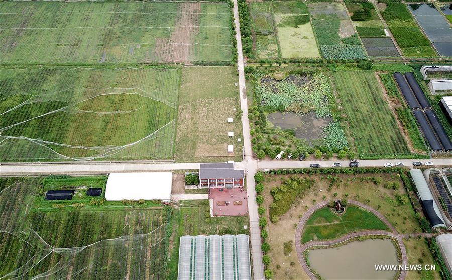 （社会）（3）国内首个民用无人机试飞运行基地在上海启用