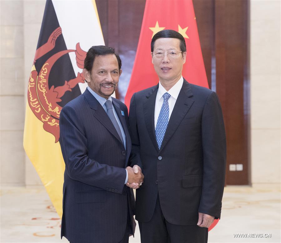 （时政）张高丽会见文莱苏丹哈桑纳尔