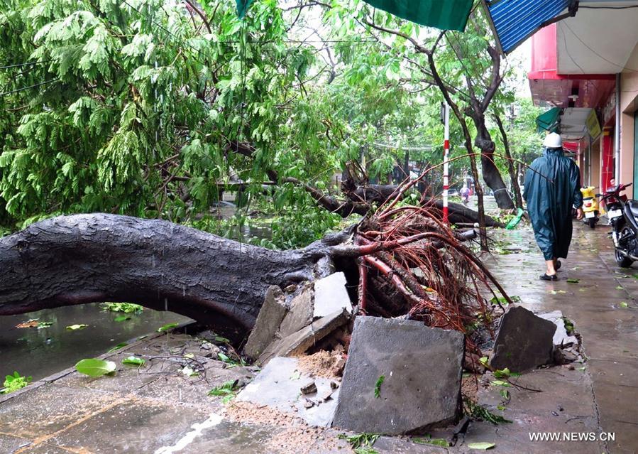（国际）（5）台风“达维”登陆越南中部11人死亡
