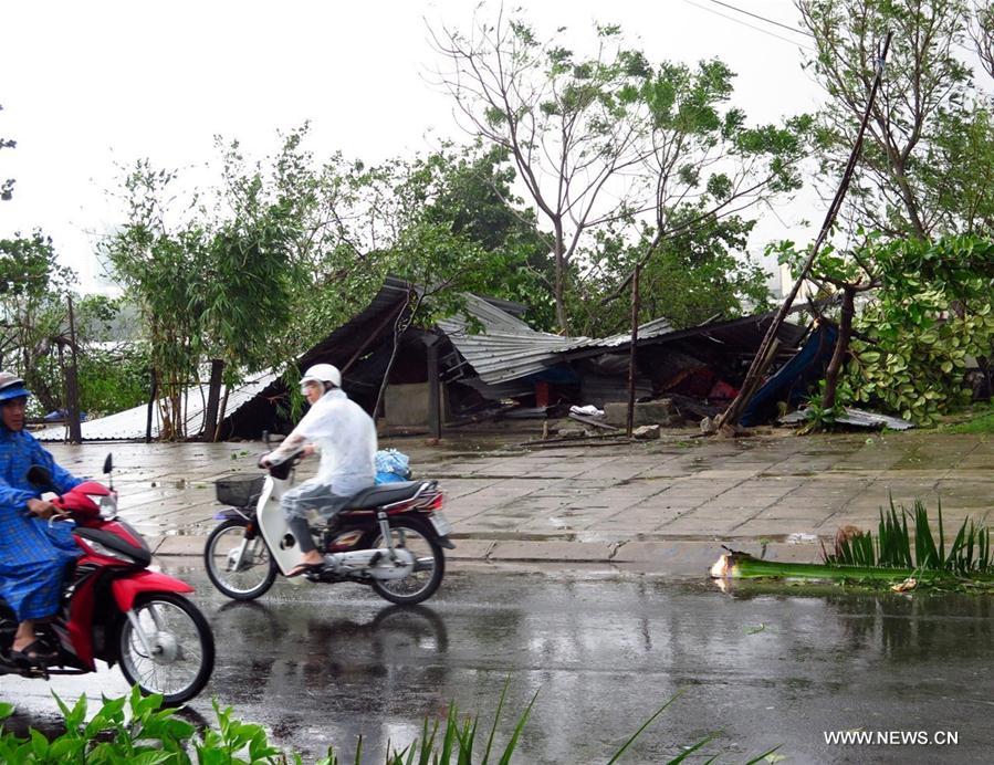 （国际）（1）台风“达维”登陆越南中部11人死亡
