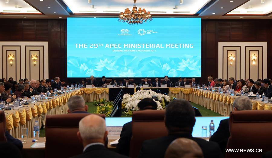 （国际）亚太经合组织第29届外交和贸易部长级会议在越南岘港举行