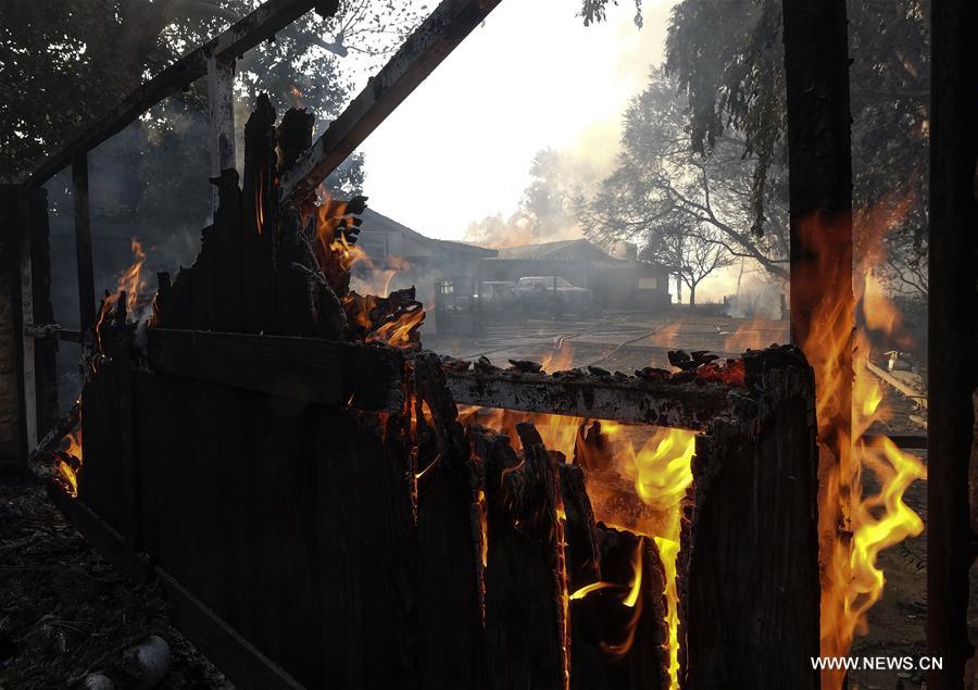 （国际）（5）山火蔓延 洛杉矶县进入紧急状态