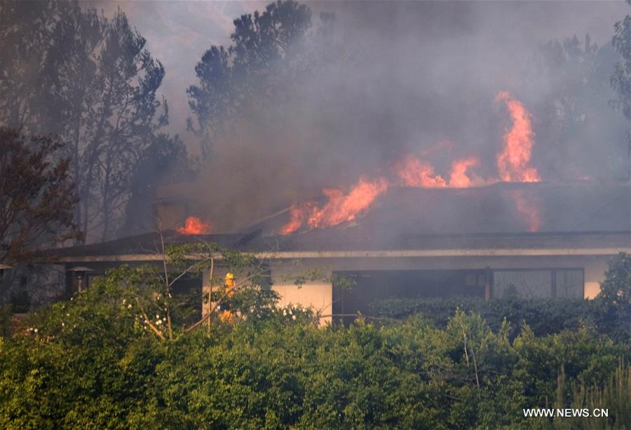 （国际）（8）山火蔓延 洛杉矶县进入紧急状态