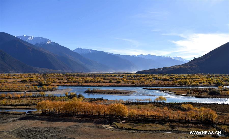 الصورة : منطقة استوائية في التبت تستقبل حوالي 5 ملايين زائر في فترة يناير - نوفمبر  2017