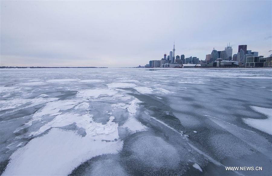 （国际）（2）加拿大遭遇极寒天气