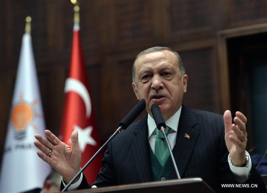 （国际）（1）土耳其总统表示将扩大在叙军事行动范围