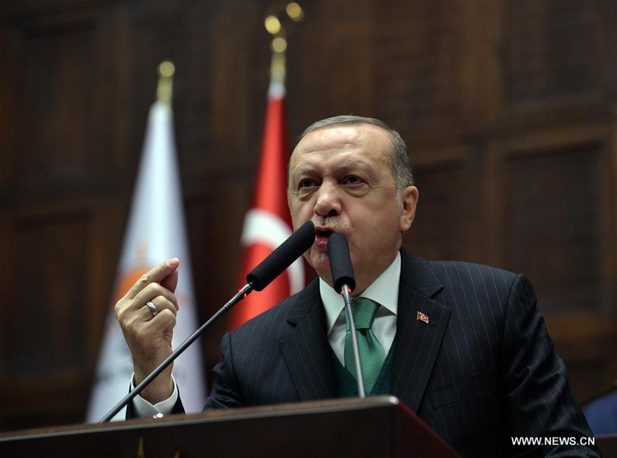（国际）（2）土耳其总统表示将扩大在叙军事行动范围