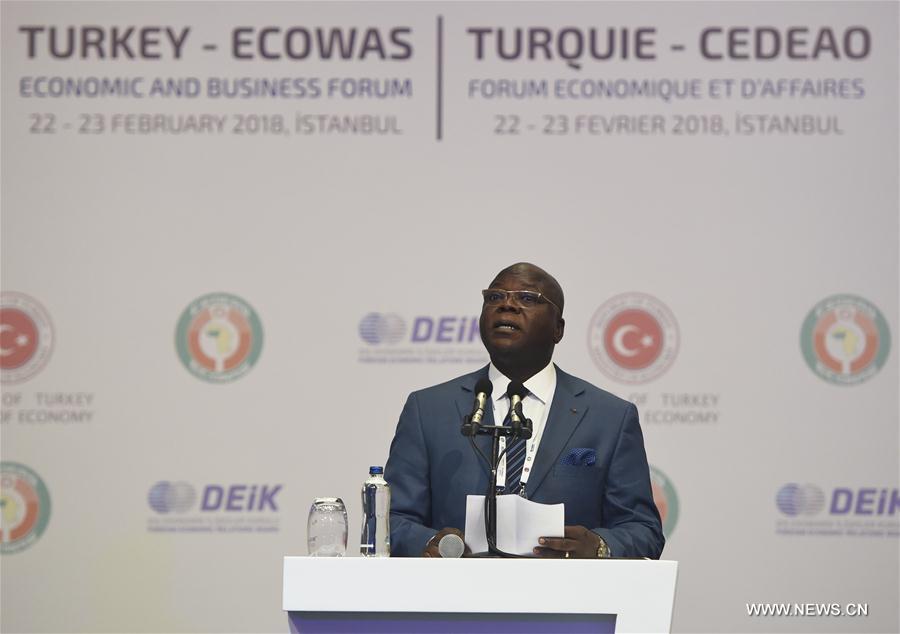 الصورة: تركيا ودول غرب أفريقيا تتعهد بتعزيز التجارة والاقتصاد