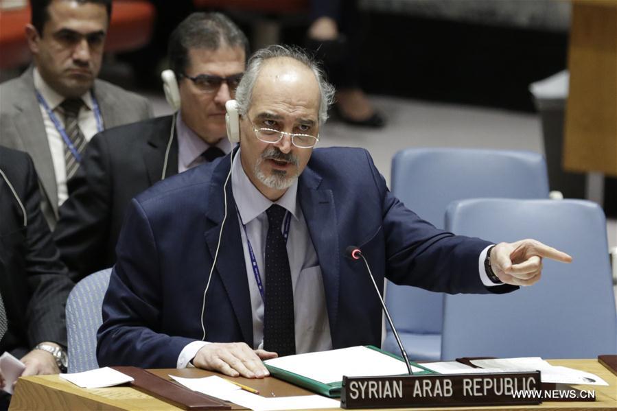 （国际）（1）安理会通过叙利亚全境停火决议