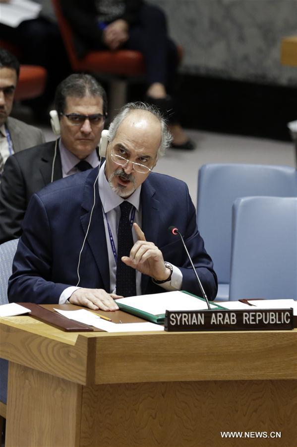 （国际）（2）安理会通过叙利亚全境停火决议