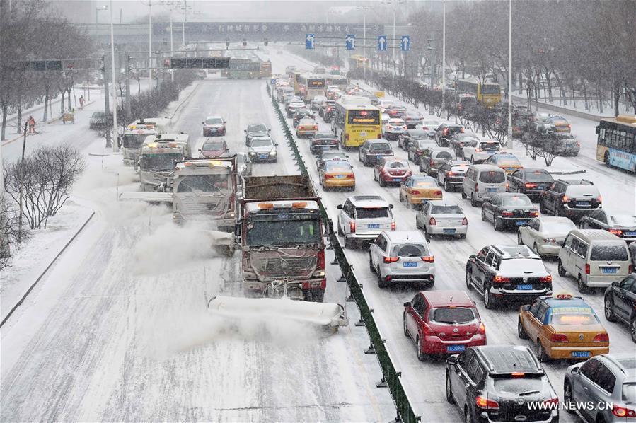 （服务）（2）黑龙江多地将迎“大风+暴雪+道路结冰”