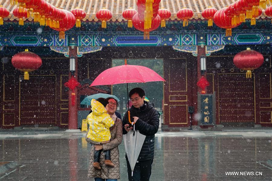 （环境）（5）北京迎来春雪