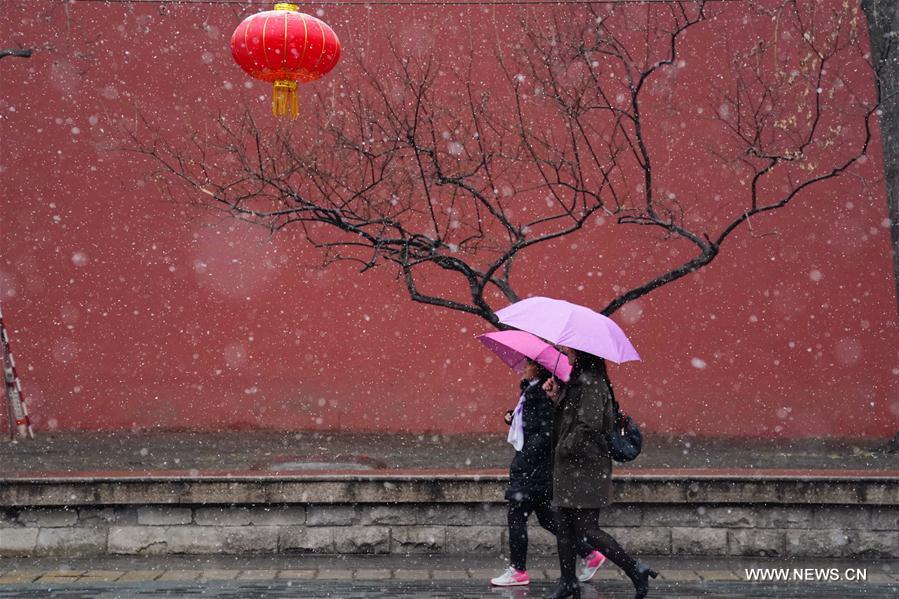 （环境）（4）北京迎来春雪