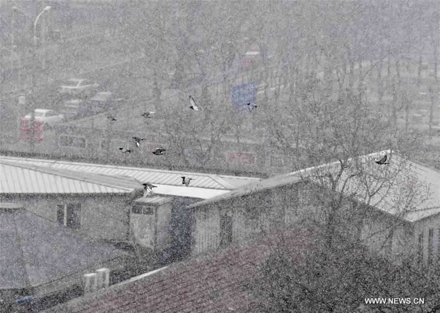 （环境）（8）北京迎来春雪