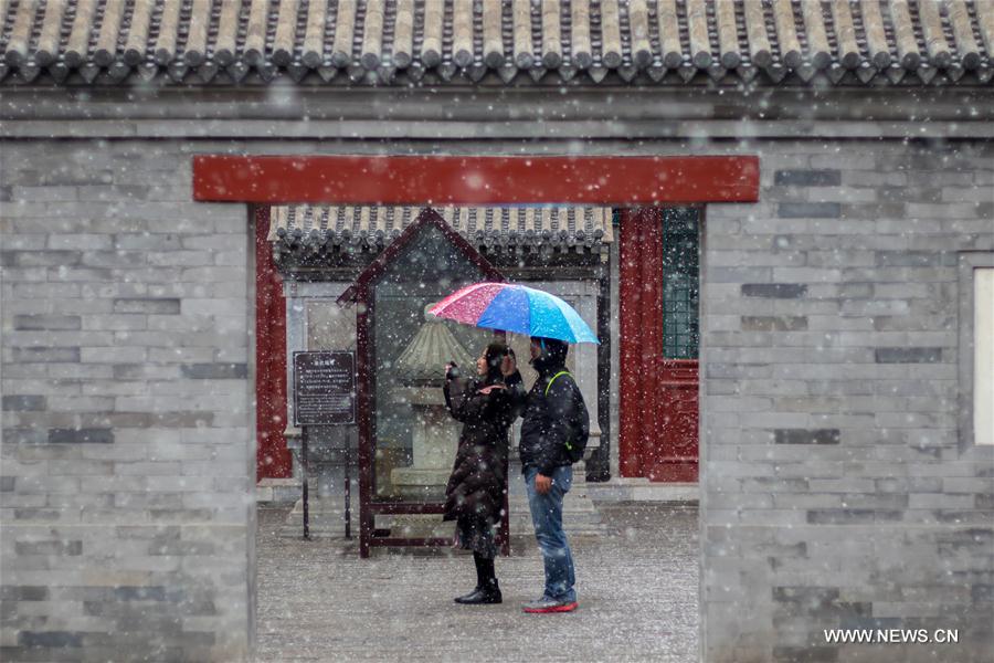 （环境）（16）北京迎来春雪