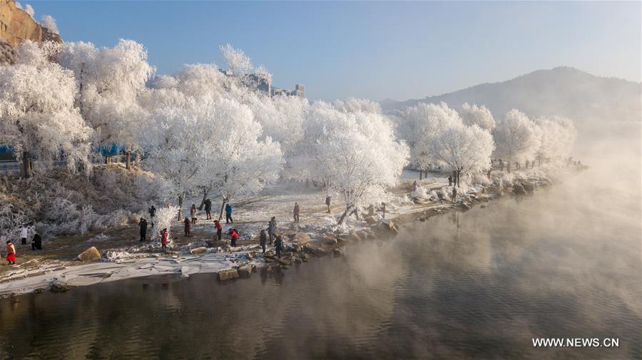 الصورة: مناظر الصقيع الرائعة في شمال شرقي الصين