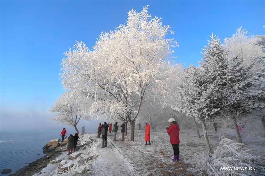 الصورة: مناظر الصقيع الرائعة في شمال شرقي الصين