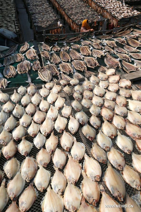 الصورة: تجفيف أسماك بحرية تحت أشعة الشمس في شرقي الصين