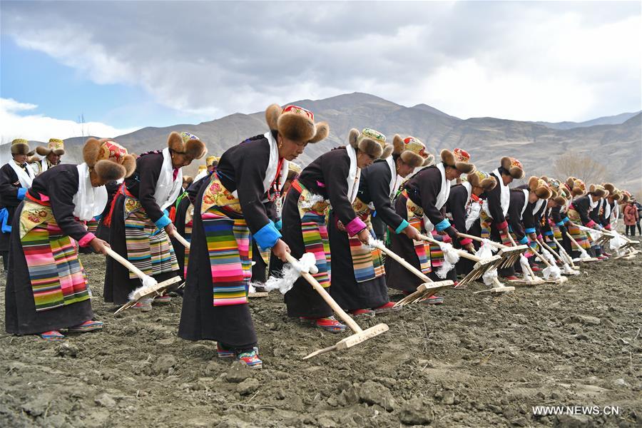الصورة: بدء الأعمال الزراعية في منطقة التبت في جنوب غربي الصين