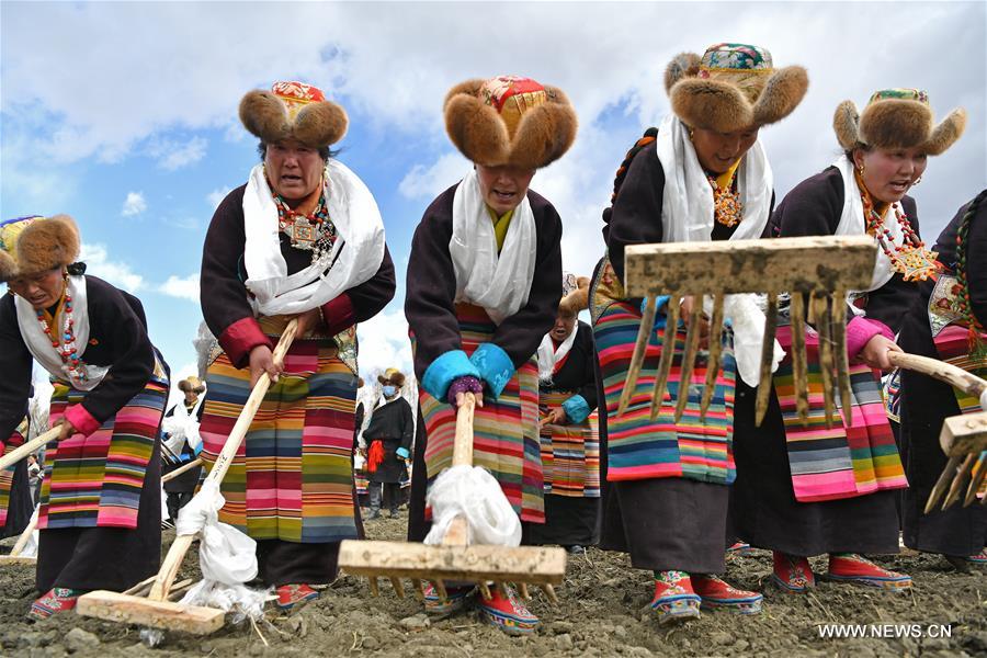 الصورة: بدء الأعمال الزراعية في منطقة التبت في جنوب غربي الصين