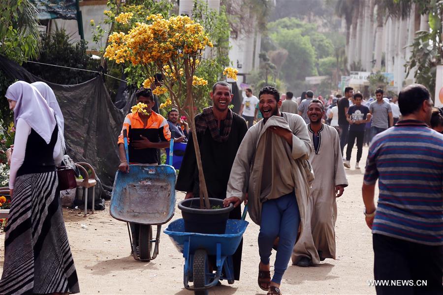 الصورة: مظاهر الأحتفال بعيد شم النسيم 