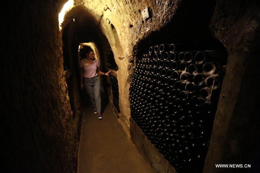 الصورة: مصنع نبيذ بوادي البقاع في لبنان