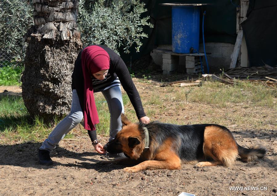 الصورة: أول مدربة كلاب بقطاع غزة