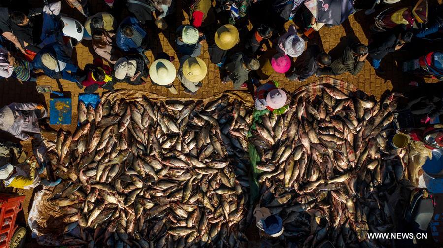 الصورة: صيد الأسماك في بحيرة شينغيون 